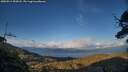 ./images/calvert/fitz-hugh-hecate/20250511/fitz-hugh-hecate20250511_200508M.jpg