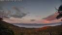 ./images/calvert/fitz-hugh-hecate/20250511/fitz-hugh-hecate20250511_211508M.jpg