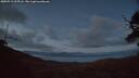 ./images/calvert/fitz-hugh-hecate/20250511/fitz-hugh-hecate20250511_215506M.jpg