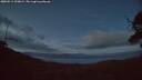./images/calvert/fitz-hugh-hecate/20250511/fitz-hugh-hecate20250511_220009M.jpg