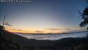 ./images/calvert/fitz-hugh-hecate/20250512/fitz-hugh-hecate20250512_053007M.jpg