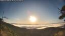 ./images/calvert/fitz-hugh-hecate/20250512/fitz-hugh-hecate20250512_065009M.jpg