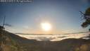 ./images/calvert/fitz-hugh-hecate/20250512/fitz-hugh-hecate20250512_065509M.jpg