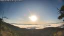./images/calvert/fitz-hugh-hecate/20250512/fitz-hugh-hecate20250512_070009M.jpg