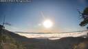 ./images/calvert/fitz-hugh-hecate/20250512/fitz-hugh-hecate20250512_071009M.jpg
