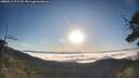 ./images/calvert/fitz-hugh-hecate/20250512/fitz-hugh-hecate20250512_071508M.jpg