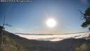 ./images/calvert/fitz-hugh-hecate/20250512/fitz-hugh-hecate20250512_072508M.jpg