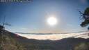 ./images/calvert/fitz-hugh-hecate/20250512/fitz-hugh-hecate20250512_073508M.jpg
