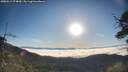 ./images/calvert/fitz-hugh-hecate/20250512/fitz-hugh-hecate20250512_074010M.jpg