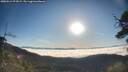 ./images/calvert/fitz-hugh-hecate/20250512/fitz-hugh-hecate20250512_074509M.jpg