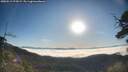 ./images/calvert/fitz-hugh-hecate/20250512/fitz-hugh-hecate20250512_075009M.jpg