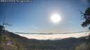 ./images/calvert/fitz-hugh-hecate/20250512/fitz-hugh-hecate20250512_075509M.jpg