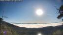 ./images/calvert/fitz-hugh-hecate/20250512/fitz-hugh-hecate20250512_080010M.jpg
