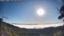 ./images/calvert/fitz-hugh-hecate/20250512/fitz-hugh-hecate20250512_080509M.jpg