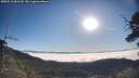 ./images/calvert/fitz-hugh-hecate/20250512/fitz-hugh-hecate20250512_081510M.jpg