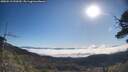 ./images/calvert/fitz-hugh-hecate/20250512/fitz-hugh-hecate20250512_090510M.jpg