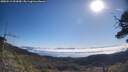 ./images/calvert/fitz-hugh-hecate/20250512/fitz-hugh-hecate20250512_093010M.jpg
