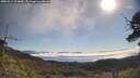 ./images/calvert/fitz-hugh-hecate/20250512/fitz-hugh-hecate20250512_094010M.jpg