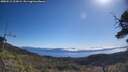 ./images/calvert/fitz-hugh-hecate/20250512/fitz-hugh-hecate20250512_102009M.jpg