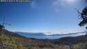 ./images/calvert/fitz-hugh-hecate/20250512/fitz-hugh-hecate20250512_102509M.jpg