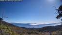 ./images/calvert/fitz-hugh-hecate/20250512/fitz-hugh-hecate20250512_103010M.jpg