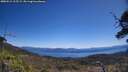 ./images/calvert/fitz-hugh-hecate/20250512/fitz-hugh-hecate20250512_115509M.jpg