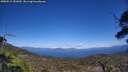 ./images/calvert/fitz-hugh-hecate/20250512/fitz-hugh-hecate20250512_151010M.jpg