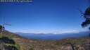 ./images/calvert/fitz-hugh-hecate/20250512/fitz-hugh-hecate20250512_154009M.jpg