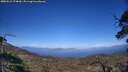 ./images/calvert/fitz-hugh-hecate/20250512/fitz-hugh-hecate20250512_174009M.jpg