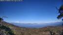 ./images/calvert/fitz-hugh-hecate/20250512/fitz-hugh-hecate20250512_180012M.jpg