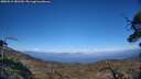 ./images/calvert/fitz-hugh-hecate/20250512/fitz-hugh-hecate20250512_181510M.jpg