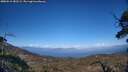 ./images/calvert/fitz-hugh-hecate/20250512/fitz-hugh-hecate20250512_182509M.jpg