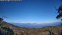 ./images/calvert/fitz-hugh-hecate/20250512/fitz-hugh-hecate20250512_183509M.jpg