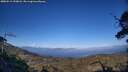 ./images/calvert/fitz-hugh-hecate/20250512/fitz-hugh-hecate20250512_190008M.jpg