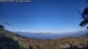 ./images/calvert/fitz-hugh-hecate/20250512/fitz-hugh-hecate20250512_190508M.jpg