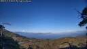./images/calvert/fitz-hugh-hecate/20250512/fitz-hugh-hecate20250512_191007M.jpg