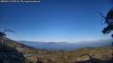 ./images/calvert/fitz-hugh-hecate/20250512/fitz-hugh-hecate20250512_191508M.jpg