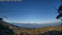 ./images/calvert/fitz-hugh-hecate/20250512/fitz-hugh-hecate20250512_194007M.jpg