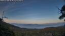 ./images/calvert/fitz-hugh-hecate/20250512/fitz-hugh-hecate20250512_204508M.jpg