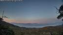 ./images/calvert/fitz-hugh-hecate/20250512/fitz-hugh-hecate20250512_211508M.jpg