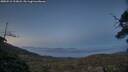 ./images/calvert/fitz-hugh-hecate/20250512/fitz-hugh-hecate20250512_213007M.jpg
