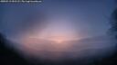 ./images/calvert/fitz-hugh-hecate/20250513/fitz-hugh-hecate20250513_051508M.jpg