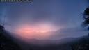 ./images/calvert/fitz-hugh-hecate/20250513/fitz-hugh-hecate20250513_052008M.jpg