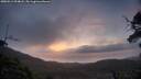 ./images/calvert/fitz-hugh-hecate/20250513/fitz-hugh-hecate20250513_054008M.jpg
