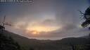 ./images/calvert/fitz-hugh-hecate/20250513/fitz-hugh-hecate20250513_055508M.jpg