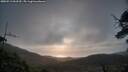 ./images/calvert/fitz-hugh-hecate/20250513/fitz-hugh-hecate20250513_063509M.jpg