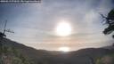 ./images/calvert/fitz-hugh-hecate/20250513/fitz-hugh-hecate20250513_072010M.jpg