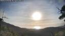 ./images/calvert/fitz-hugh-hecate/20250513/fitz-hugh-hecate20250513_072510M.jpg