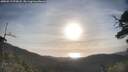 ./images/calvert/fitz-hugh-hecate/20250513/fitz-hugh-hecate20250513_073008M.jpg