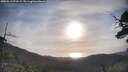 ./images/calvert/fitz-hugh-hecate/20250513/fitz-hugh-hecate20250513_073509M.jpg